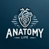 AnatomyLife Shop Logotype