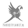 ParrotPlanet Logotype