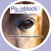 Podoblock B.V. Logotyyppi