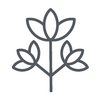 Selenacare Logo