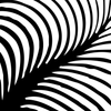 Balbach Damast Logotipo