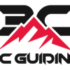 3C Guiding Logotype