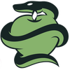 Sinnovator Logotyp