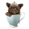 Royal T Mi-kis Logotyyppi