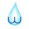 Washloo Logotype