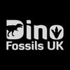 Dino Fossils UK Logotype