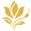 NovaGlow Clinic Logotyyppi