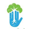 Seawater-Solution Logotyp