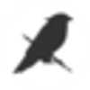 berrypiper.com Logotyyppi