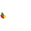 Sunny Taste Logo