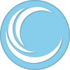 Napson Logotipo