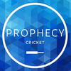 Prophecy Cricket bats and equipment Logotype