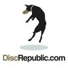 discrepublic.com Logotyyppi