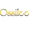 HONGKONG OSSILEE TRADING LIMITED Logotype