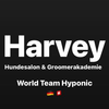 Hyponic Logotype