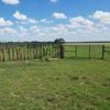 West Texas Livestock Growers Logotip