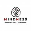 MINDNESS Logotype