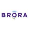 Broraonline Logotype