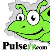 PulseTV's Deal of the Day Logotype
