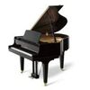 worldwide piano Logotipo