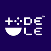 DELE Nordic Logo