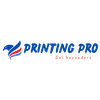 Ali Print Logotype