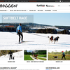 baggen.se Logotyp