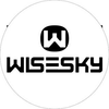 Wiseksy Logotype