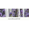 SP MEINLAVENDEL Logo
