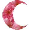 Priestess of Moonlight Logo