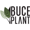 Buceplant Logotyp
