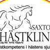 saxtorpshastklinik.se/sv Λογότυπο