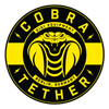 COBRAUNION Logotyp