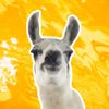 EPIC LLAMA Logó