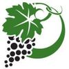 Original Design International Logotipo