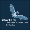 Noctalis Tickets & Shop Logotype