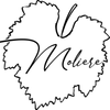 domainemoliere.fr Logó