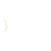 Skin Perfect Logotyyppi