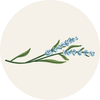Stauden & Kraut Logotyp