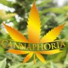 CANNAPHORIA Logo