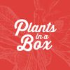 Plants in a box Logotype