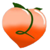 pey2playfitness.com Logotyp