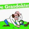 Steenbergen Graszoden V.O.F. Logotype