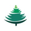 Pinedecor Logotype