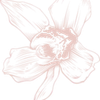 Brandl Blumen Logó