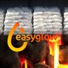 Easyglow Logotype