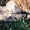 naturnarabutik.se Logotyp