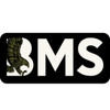 BMS Academy Logotipo
