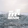 Sensi Skateboards Logotype