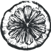Garnishes and Dreams Logotipo